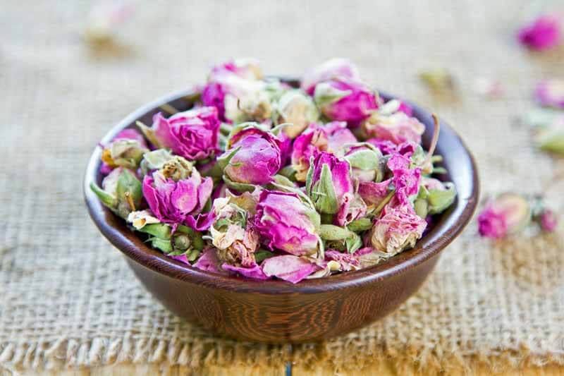تصویر 4 از غنچه گل محمدی داراب شیراز برداشت شده از باغ های مرغوب